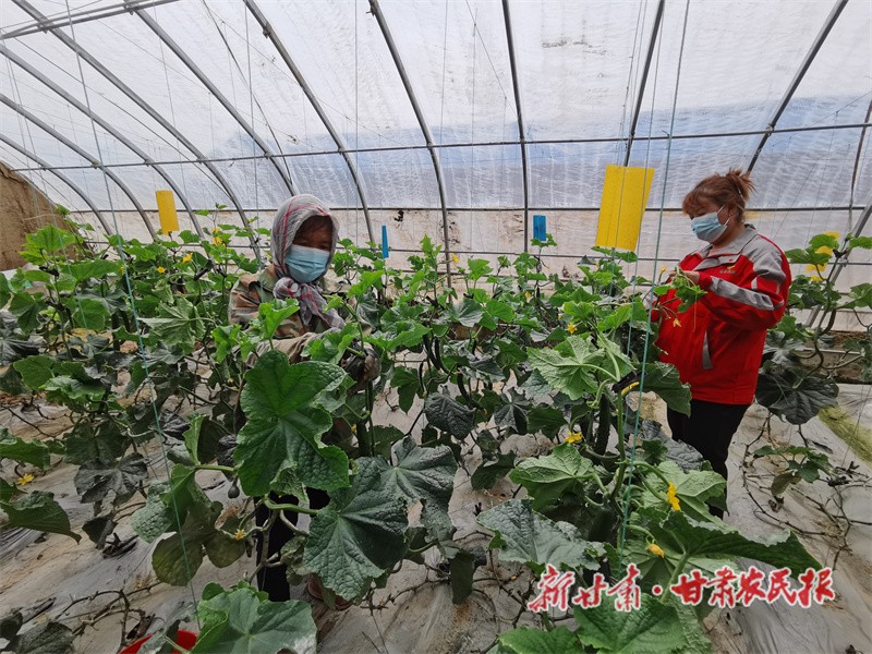 微信圖片_20220523164105.jpg
