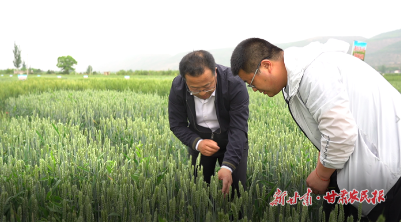 微信圖片_20220624170517_副本.png
