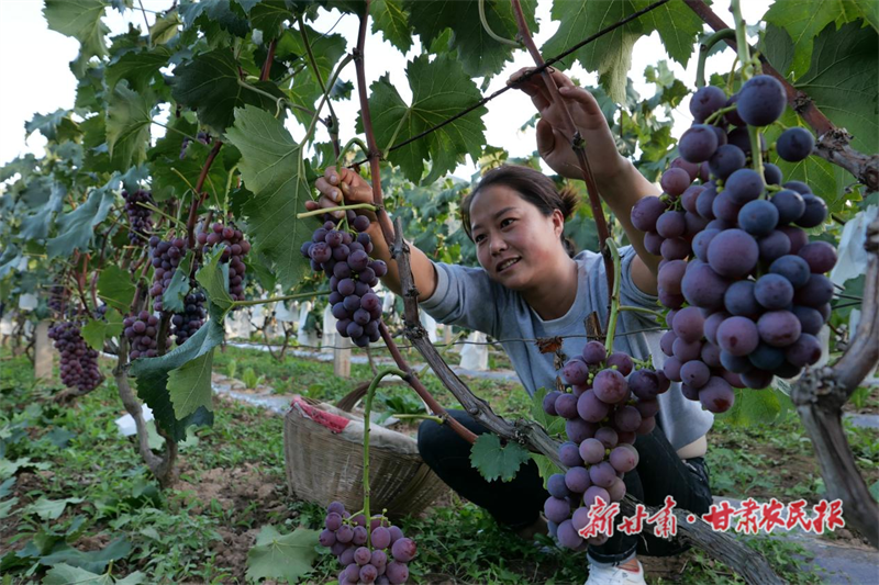 微信圖片_20220919150808.png