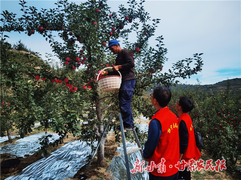 紅馬甲果業(yè)服務(wù)隊深入果園與果農(nóng)談_proc.jpg