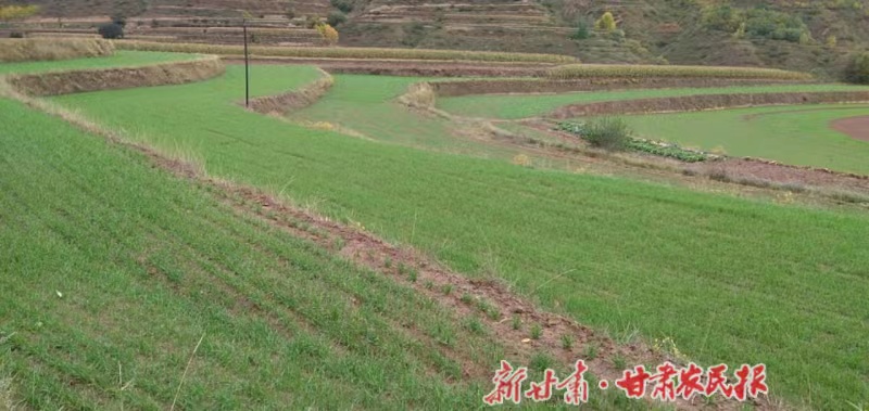 微信圖片_20221009221513.jpg
