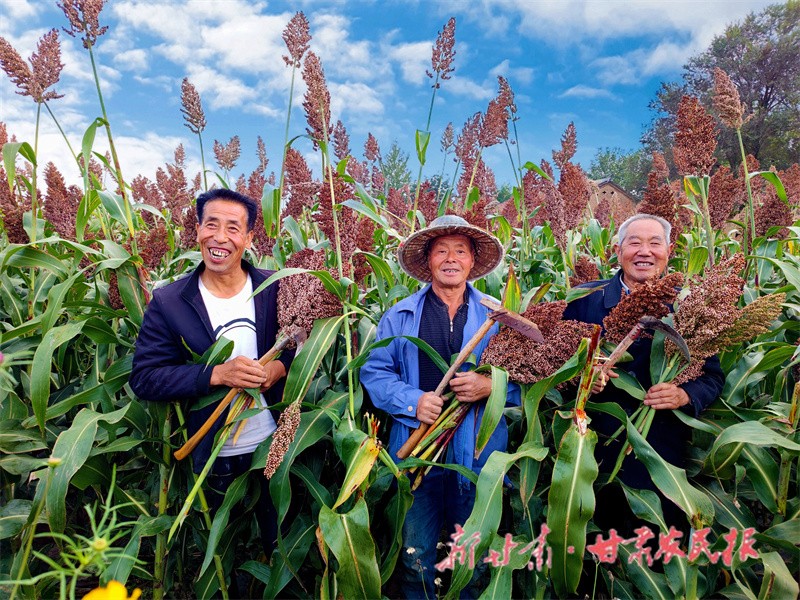 2、豐收的高粱惹得農(nóng)人喜笑顏開.jpg