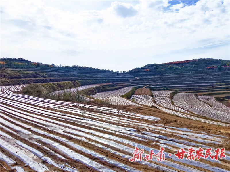 靜寧四河鎮(zhèn)萬畝綠色種養(yǎng)循環(huán)農(nóng)業(yè)示范基地.jpg