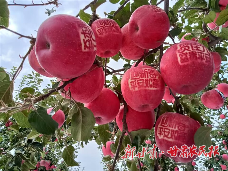 帶有祝福語的貼字蘋果.jpg