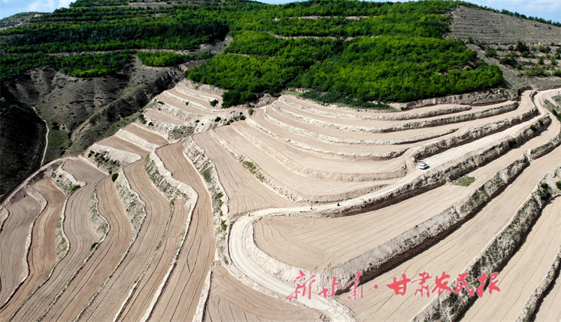 紅寺鎮(zhèn)高標(biāo)準(zhǔn)農(nóng)田建設(shè).JPG