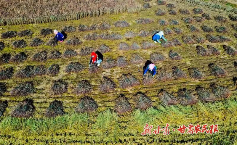 微信圖片_20221108102109.jpg