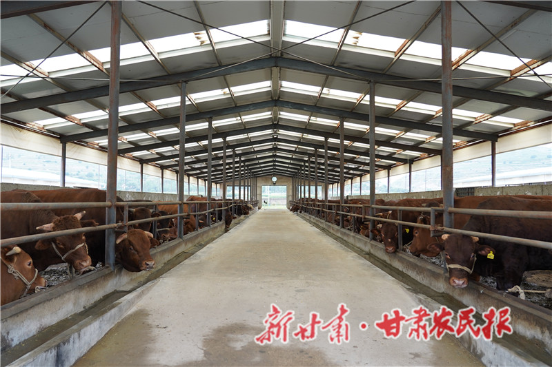 金融扶持牛產(chǎn)業(yè)發(fā)展.JPG