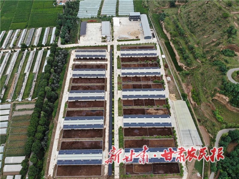 崇信縣紅牛繁育場光伏發(fā)電設施 (3).jpg