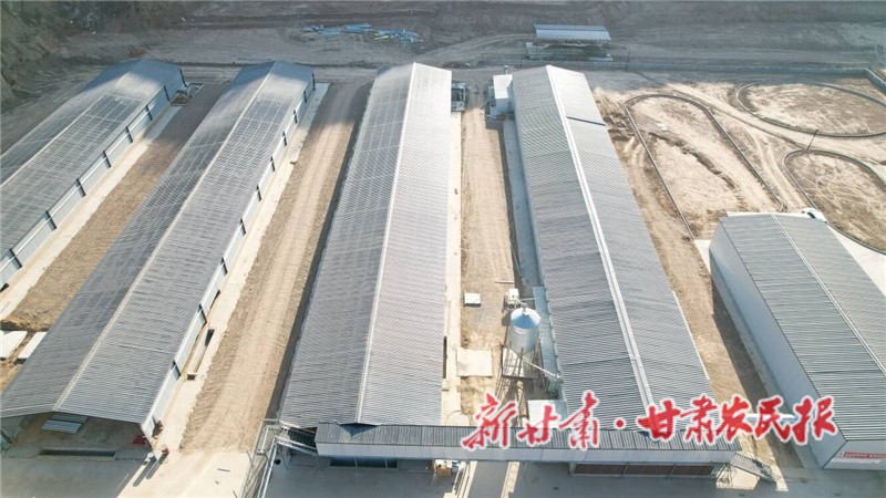 15萬(wàn)只蛋雞項(xiàng)目基地.jpg