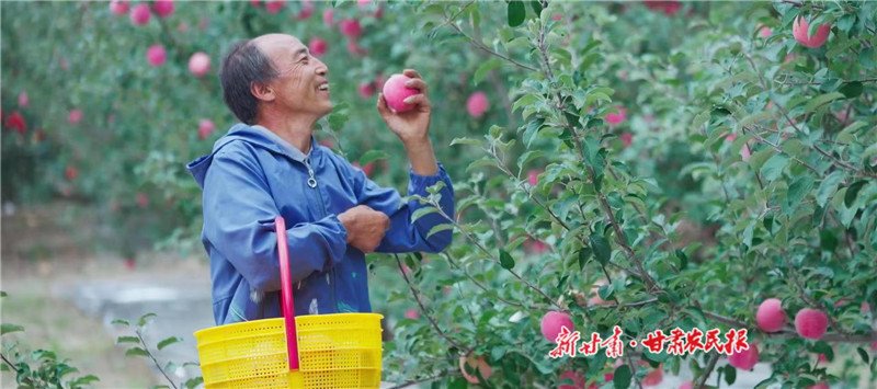 靜寧縣賈河鄉(xiāng)山地蘋果喜獲豐收.jpg