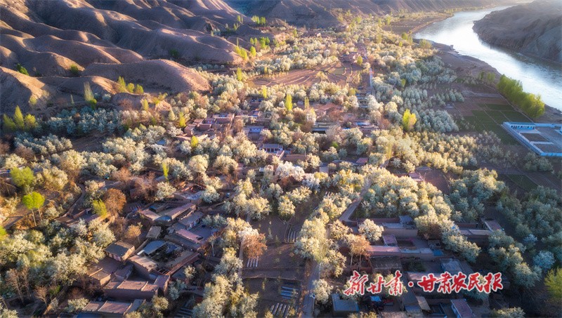 微信圖片_20230407160658.jpg