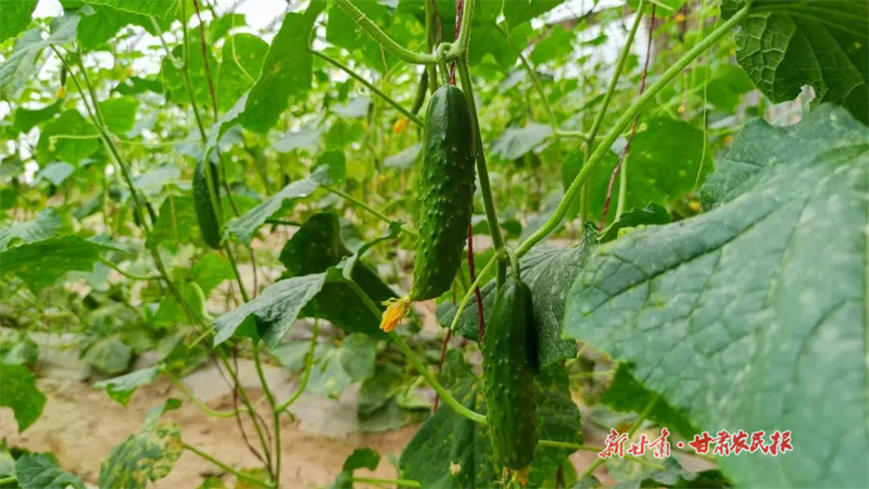 微信圖片_20230529150925.jpg