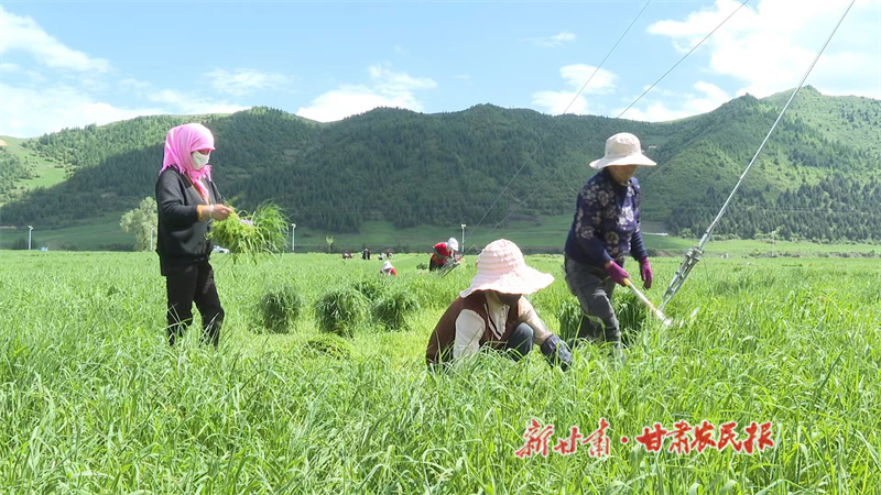 微信圖片_20230609153907.jpg