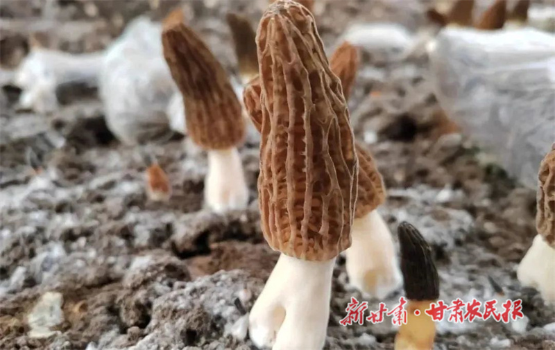 微信圖片_20230612153614.jpg