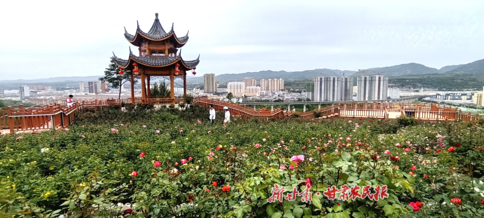 微信圖片_20230703165755.jpg