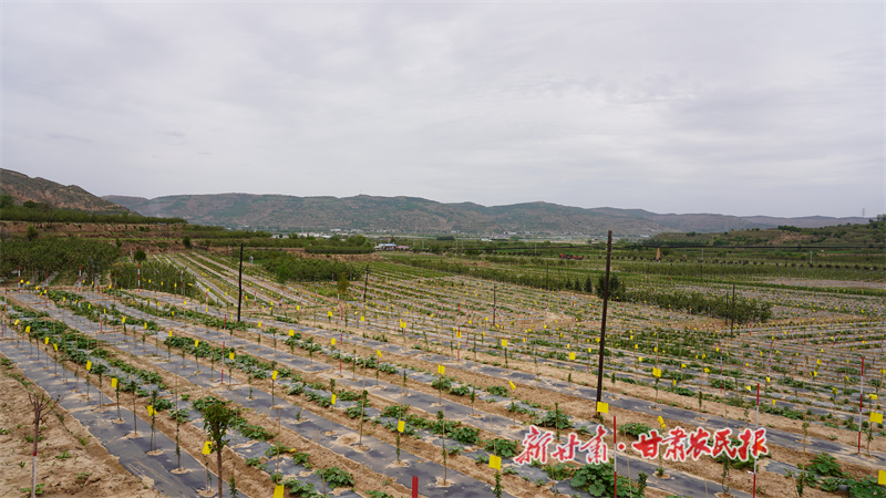 微信圖片_20230712161719.jpg