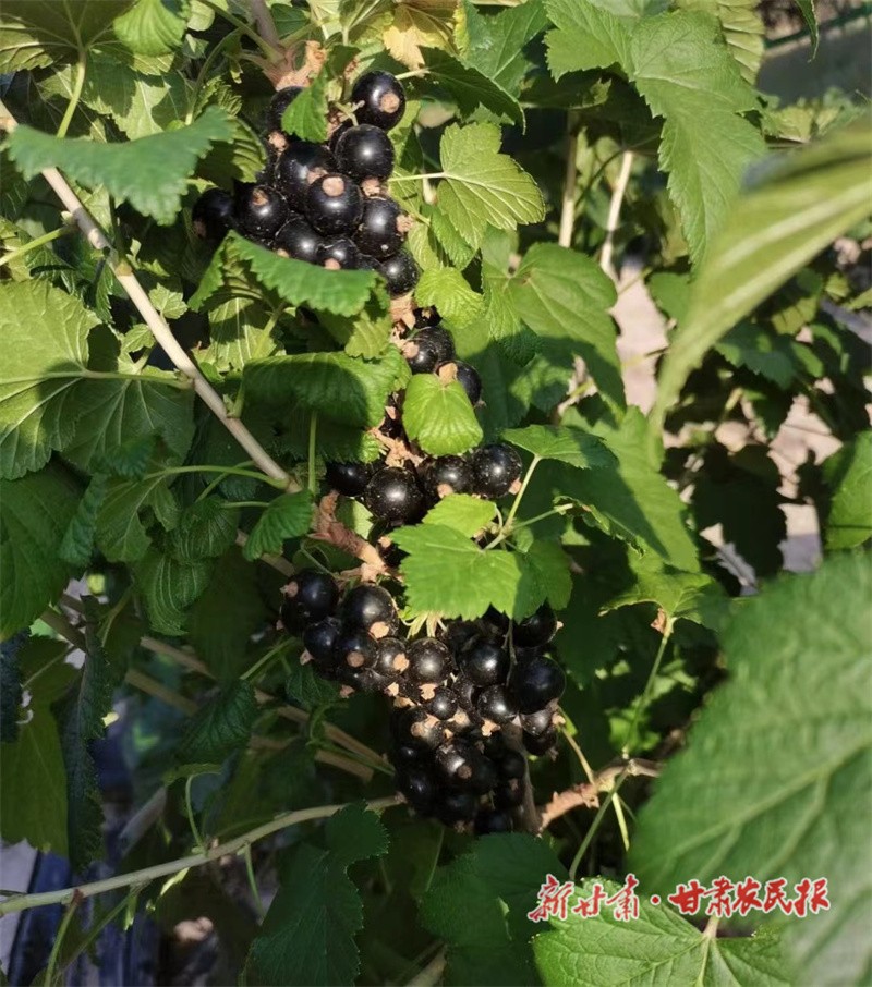 微信圖片_20230802155328.jpg