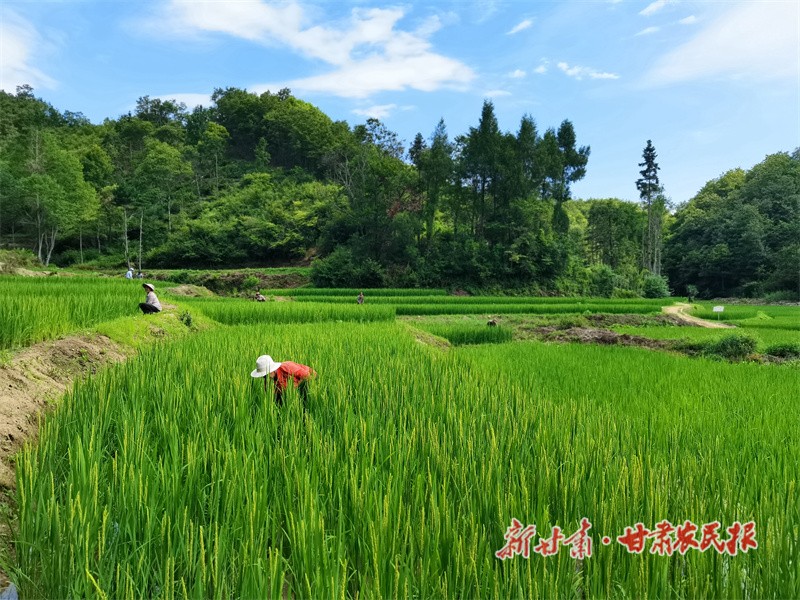 微信圖片_20230807151940.jpg