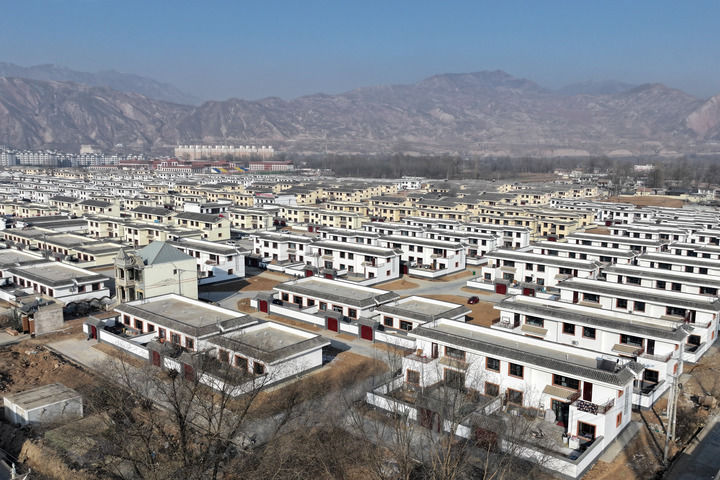 1735026296761595.jpg 1735026232277063.jpg