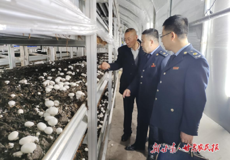 1735115779900488.png 孫超鵬2.png