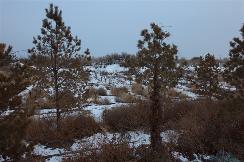 1735269821616564.jpg IMG_2566.jpg