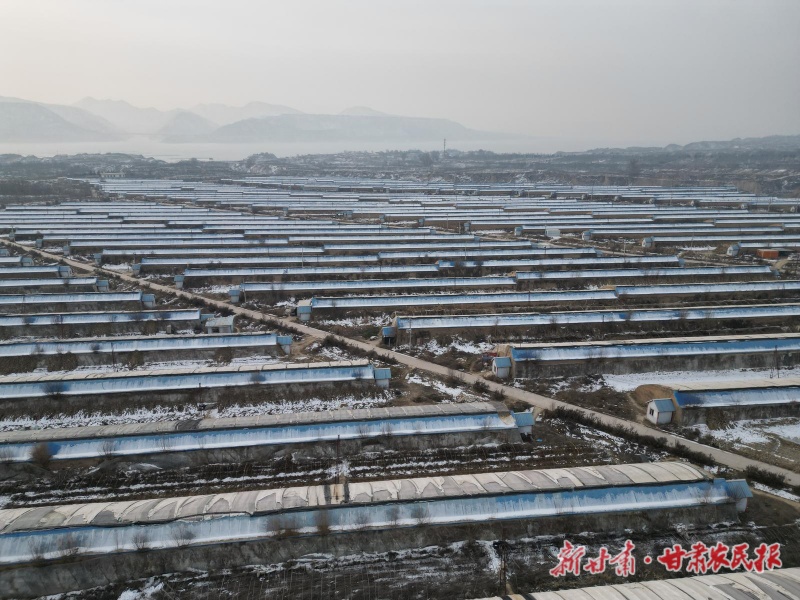 460ff658-0450-48c1-a43b-7d3373d72338_l