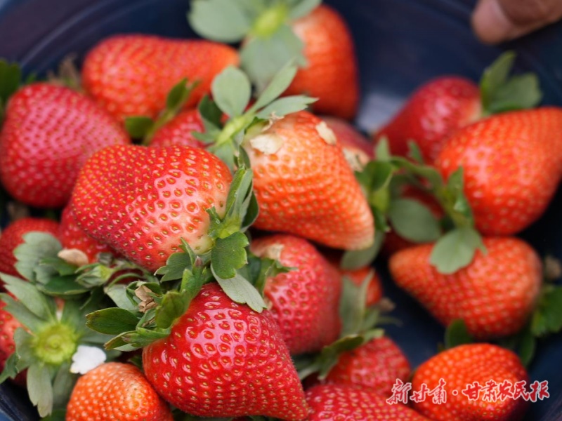 0972d368-e2f6-47d7-9a91-d88c015b909b_l