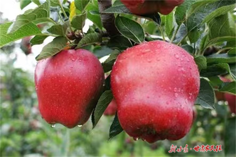 1737253120255564.jpg GetAttachment (1).jpg