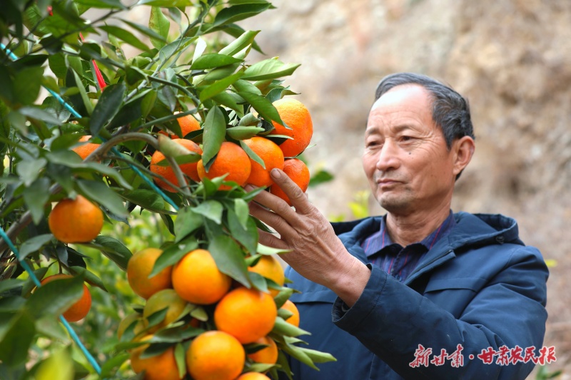微信圖片_20250221162622.jpg