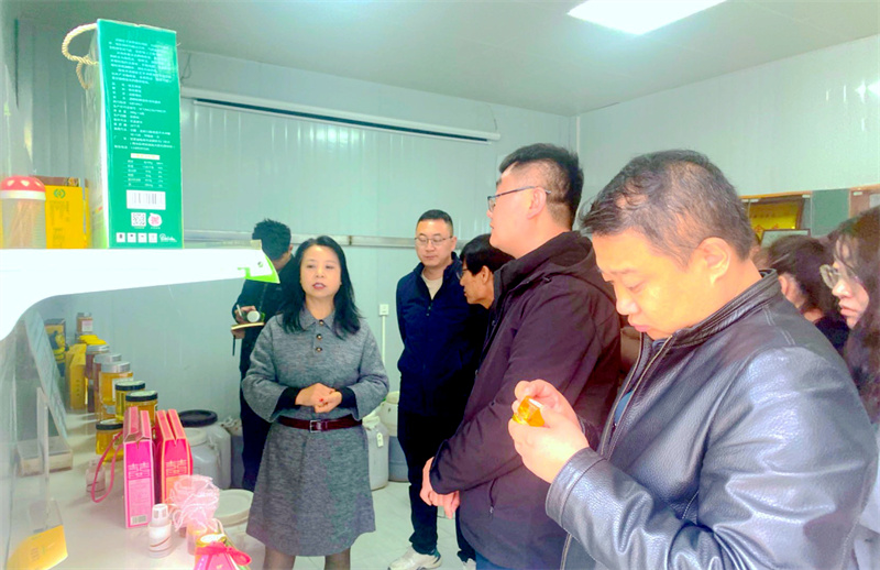華亭市硯峽鄉(xiāng)赴外地學(xué)習(xí)中蜂養(yǎng)殖技術(shù)1.jpg