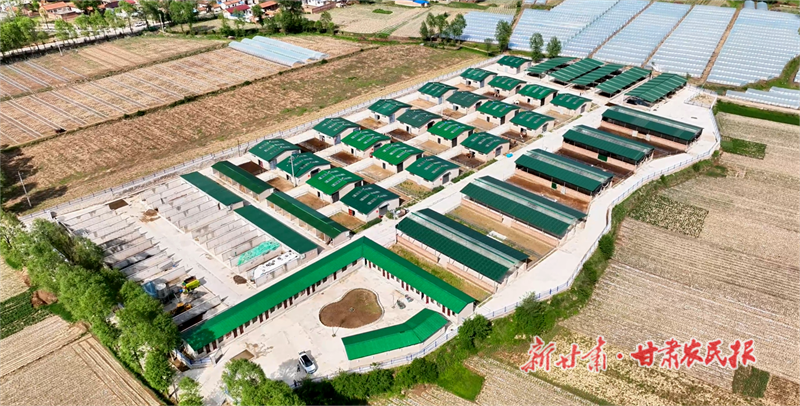 河西鎮(zhèn)平?jīng)黾t牛養(yǎng)殖基地.png
