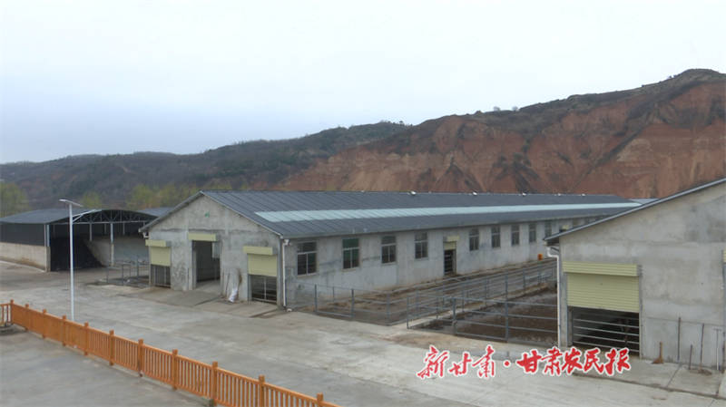 華亭東華鎮(zhèn)紅牛養(yǎng)殖基地 (3).png