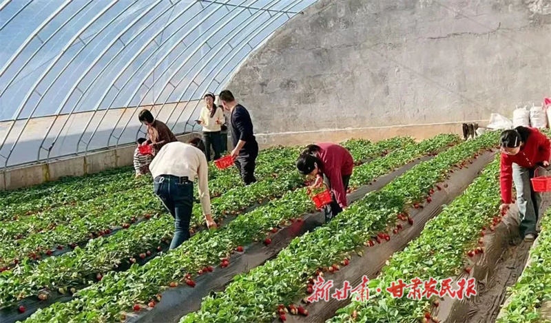 華亭市西華鎮(zhèn)蔬菜大棚.jpg