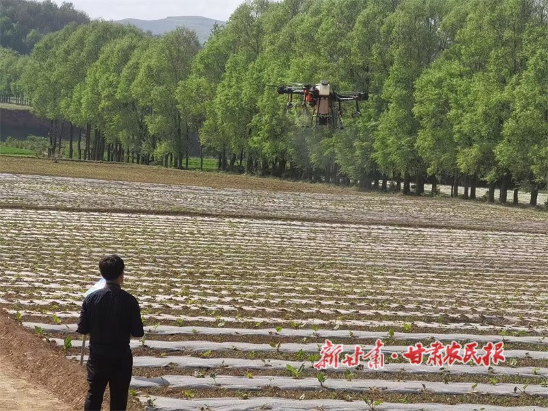 無人機噴灑生物菌劑.jpg