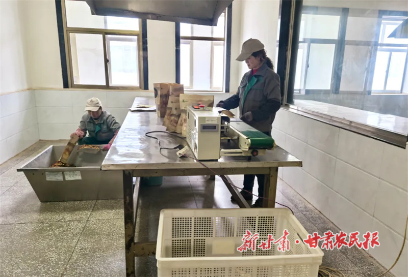 工人們封裝藥材.jpg