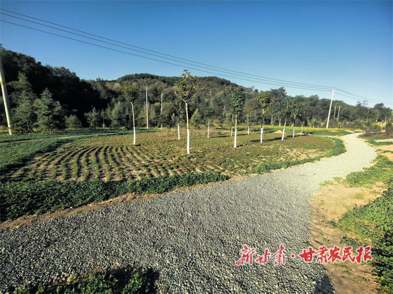 橋臺生態(tài)恢復(fù)治理.jpg