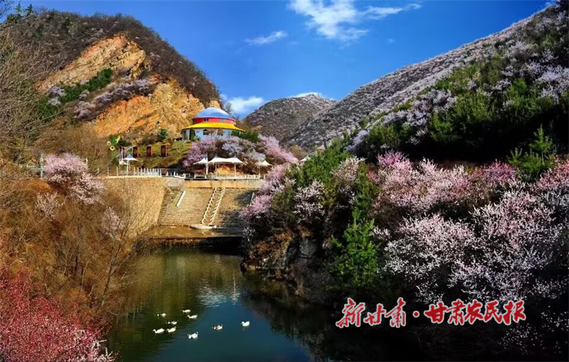 米家溝桃花.jpg
