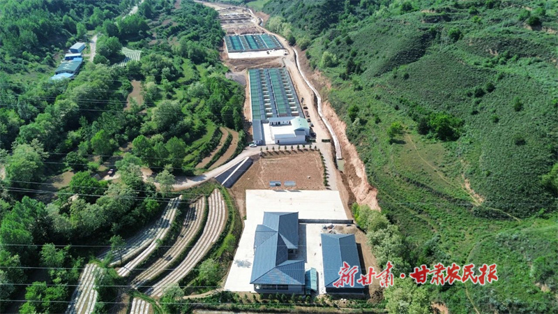 西華鎮(zhèn)林麝養(yǎng)殖基地.jpg