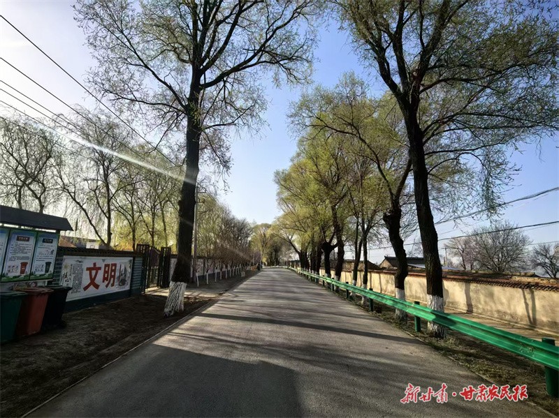 2.甘肅平?jīng)鱿闵忇l(xiāng)：小庭院“扮靚”鄉(xiāng)村治理大文章 由受訪單位提供 (2).jpg