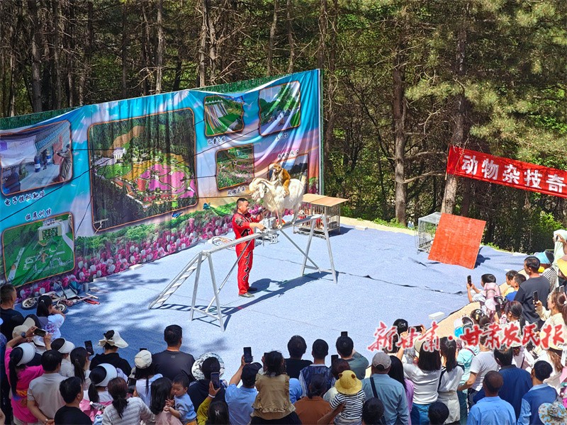 萌寵表演1.jpg