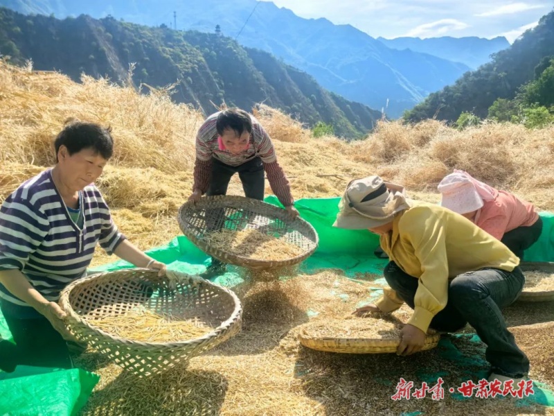 微信圖片_20250509151624.jpg