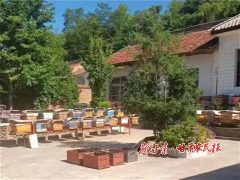 華亭市上關鎮(zhèn)：養(yǎng)好小蜜蜂  致富“甜蜜蜜” (3).jpg