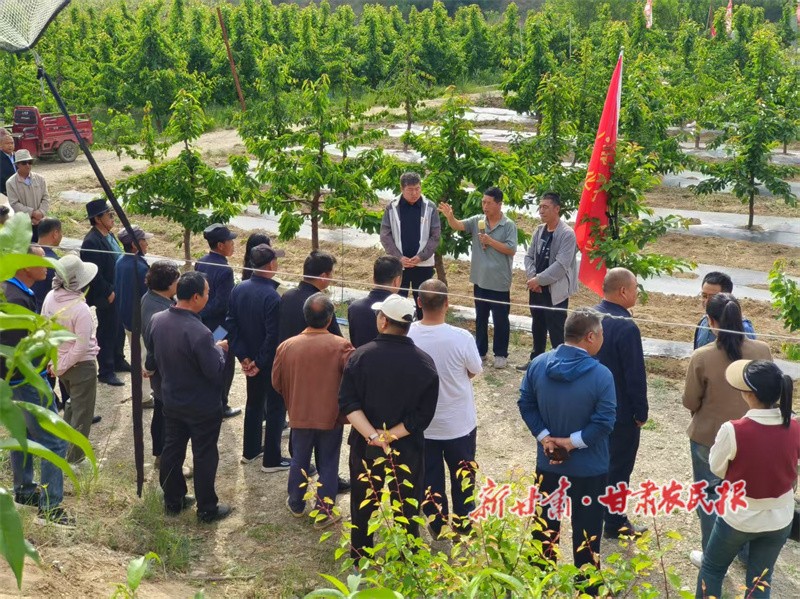 秦州區(qū)培訓(xùn).jpg