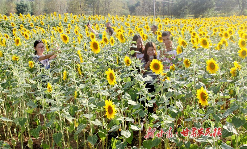華亭：一座資源型城市的生態(tài)答卷 (8).jpg