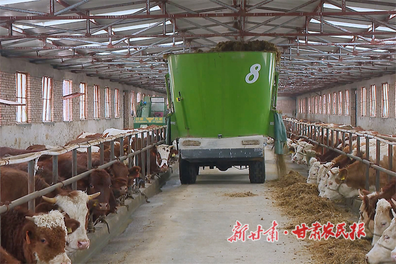 4自動喂料機添加飼料.jpg
