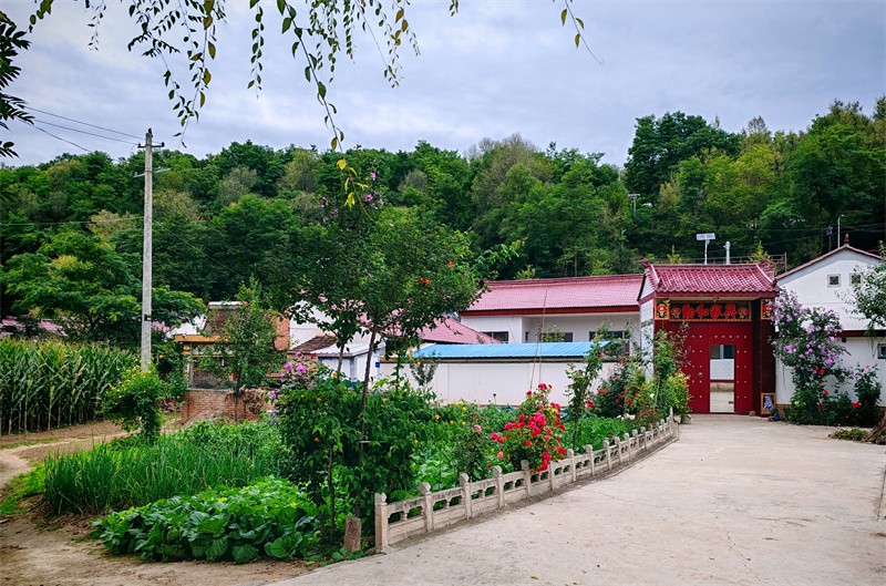 朱家坡村美麗庭院 2024年8月賈藝超拍攝.jpg