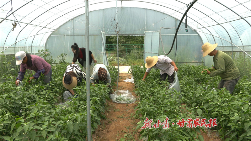 1751373263945610.png 1751364454433075686.png