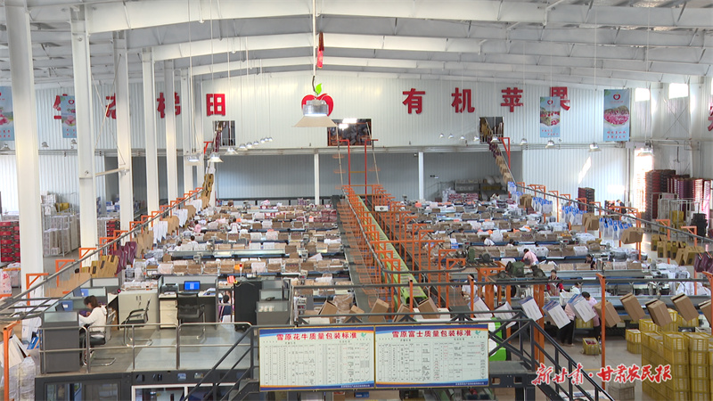 莊浪縣雪原農(nóng)產(chǎn)品供應(yīng)鏈有限公司蘋果分選車間