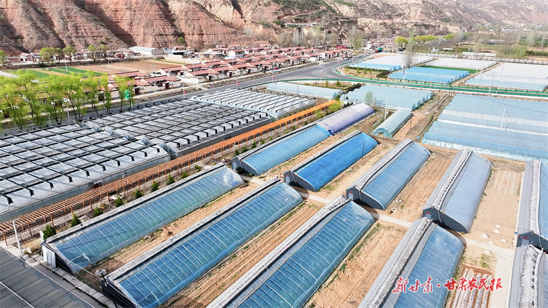 新豐園蔬菜基地