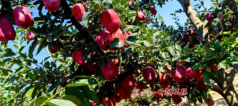 1753187191672208.jpg 1753174237011013830.jpg